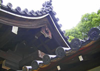 妙心寺の屋根
